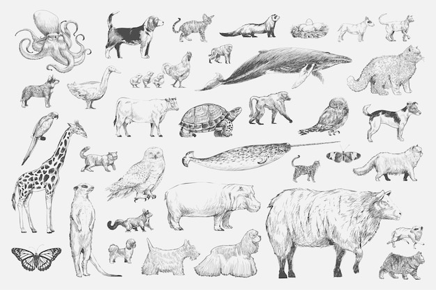 Vettore gratuito stile di disegno illustrazione della collezione di animali