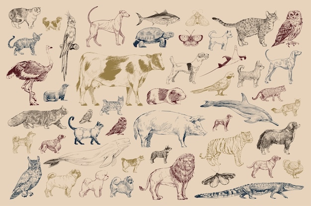 Stile di disegno illustrazione della collezione di animali