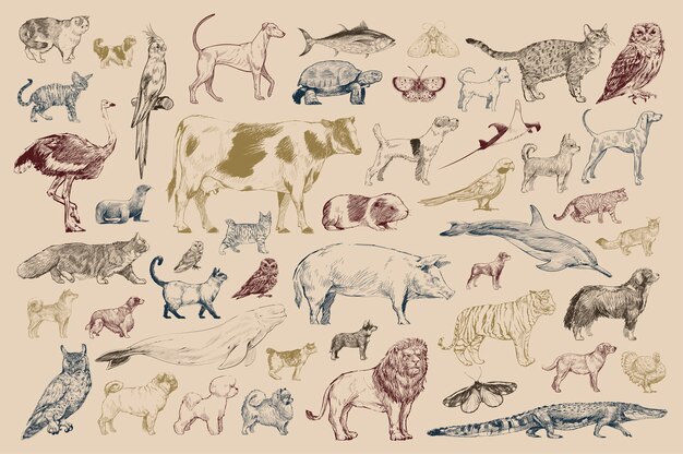 Стиль рисунка рисунка коллекции животных