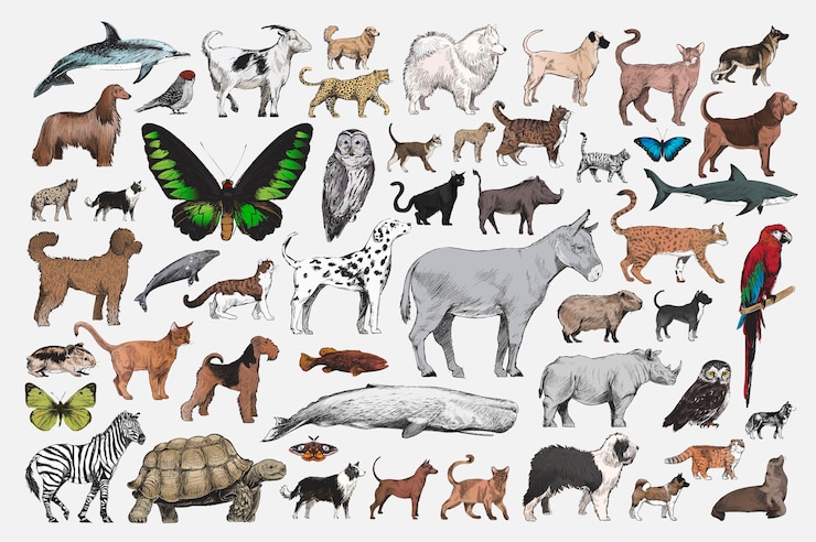 Free Vector illustration drawing style of animal collection