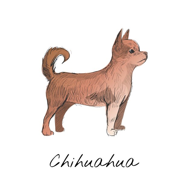 Illustration drawing style of dog