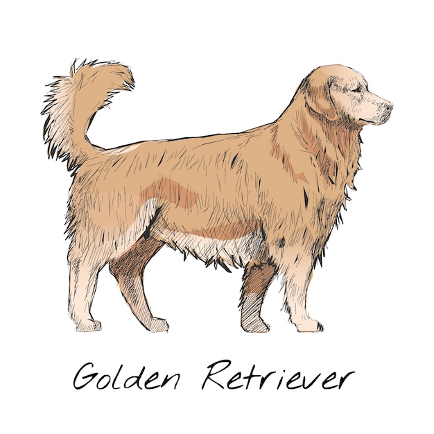 Vettore gratuito stile di disegno dell'illustrazione del cane