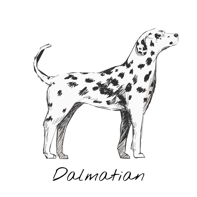 Стиль рисунка рисунка собаки