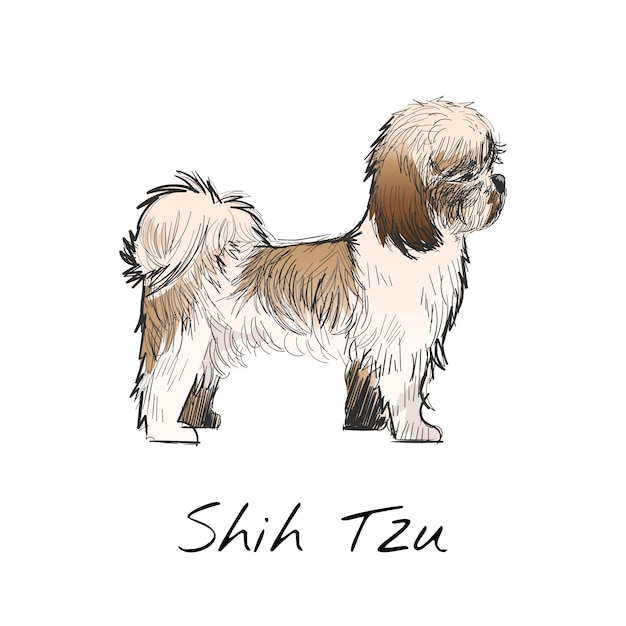 Illustration drawing style of dog