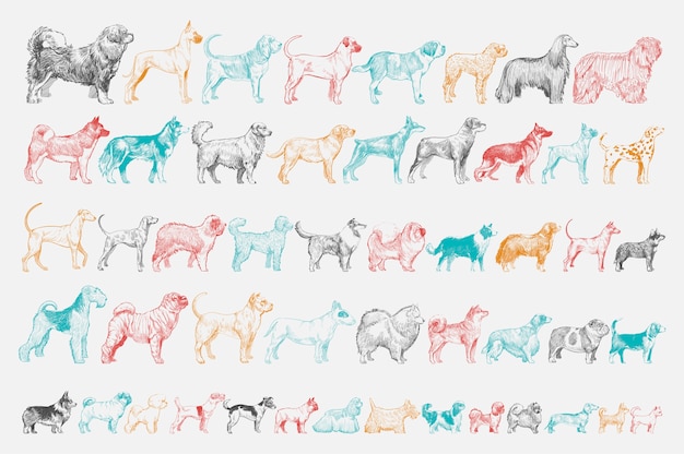 Free vector illustration drawing style of dog
