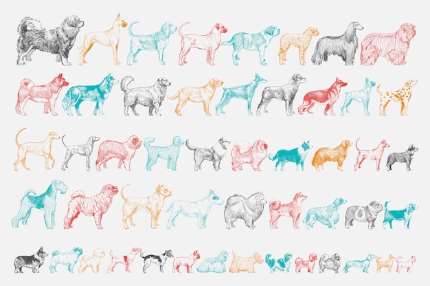 Illustration drawing style of dog