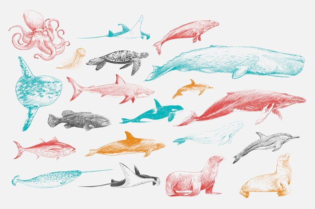 해양 생물 컬렉션의 그림 그리기 스타일