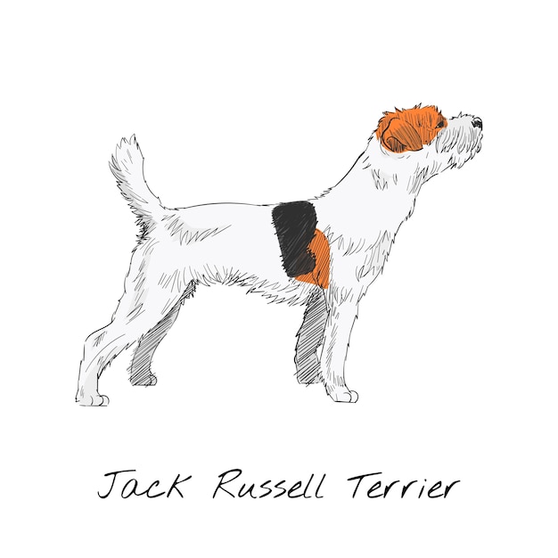 Бесплатное векторное изображение Стиль рисунка рисунка собаки