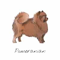 Бесплатное векторное изображение Стиль рисунка рисунка собаки