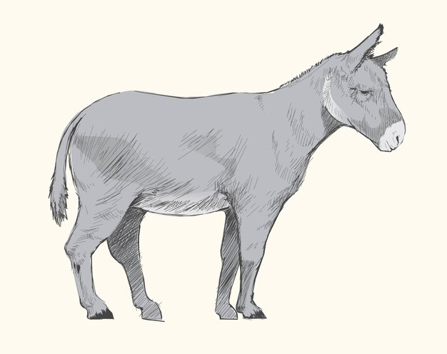 ロバのイラストの描画スタイル プレミアムベクター