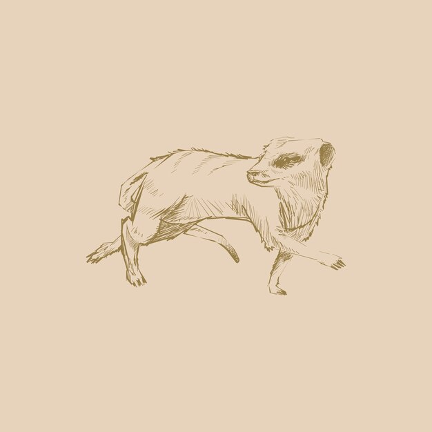 ミールキャットのイラストの描画スタイル プレミアムベクター