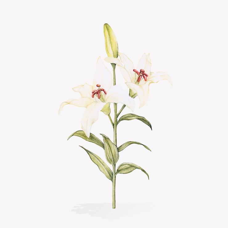 無料Vector イースターフェスティバルのイラスト