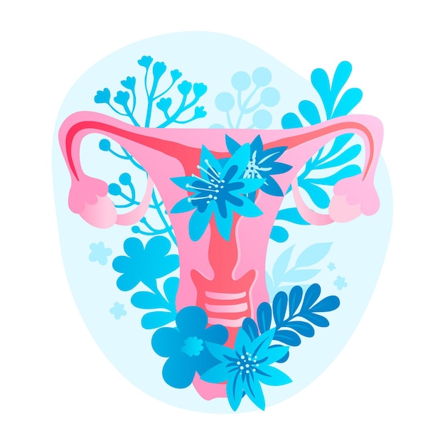 Free vector illustration of female reproductive system