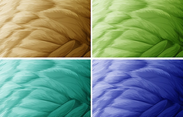 Four Color Feather Texture Illustration – Free Stock Photo Download