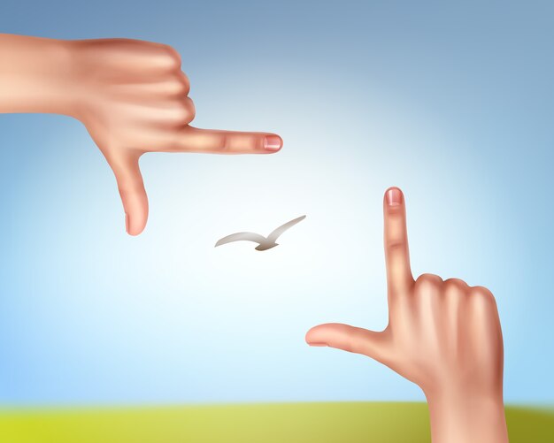 illustration of hands making a frame of bird in sky