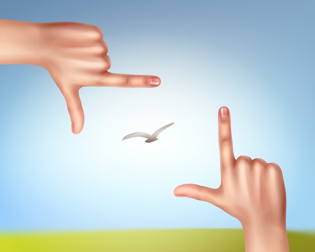 illustration of hands making a frame of bird in sky