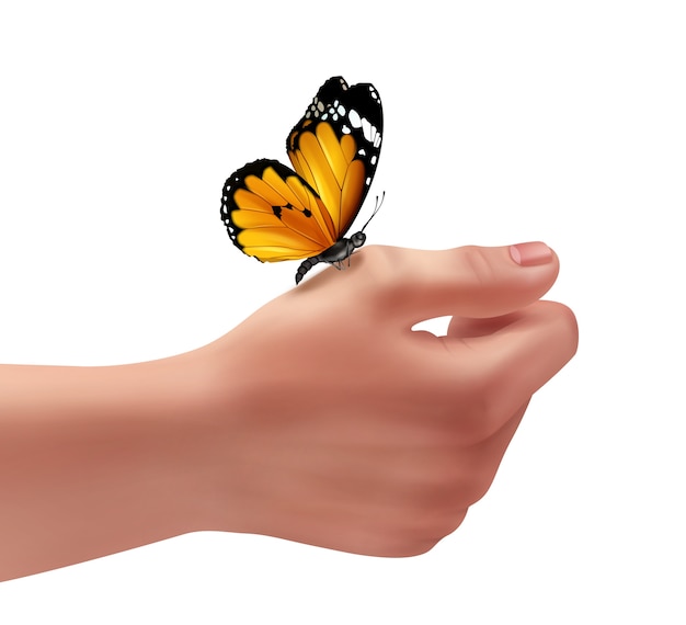 Free vector illustration of human right hand with butterfly