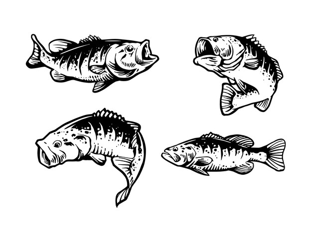 Premium Vector Cartoon Bass Fish Isolated