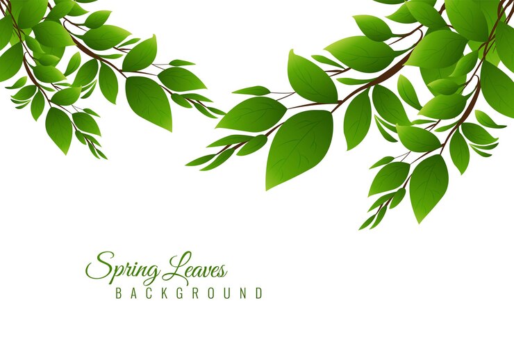Free Vector illustration nature background with green leaves