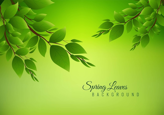 Free vector illustration nature background with green leaves