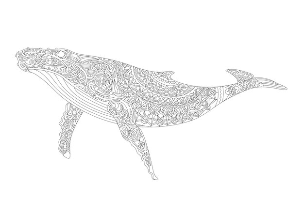 99以上 イラスト クジラ 下 から 81 Jpdiamukpicttggj
