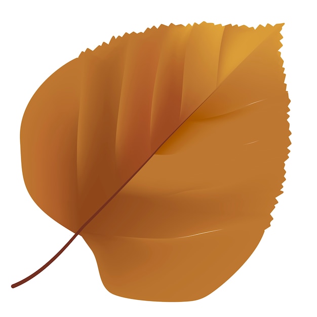 무료 벡터 흰색 배경에 고립 된 잎의 그림