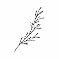 Бесплатное векторное изображение Иллюстрация растения