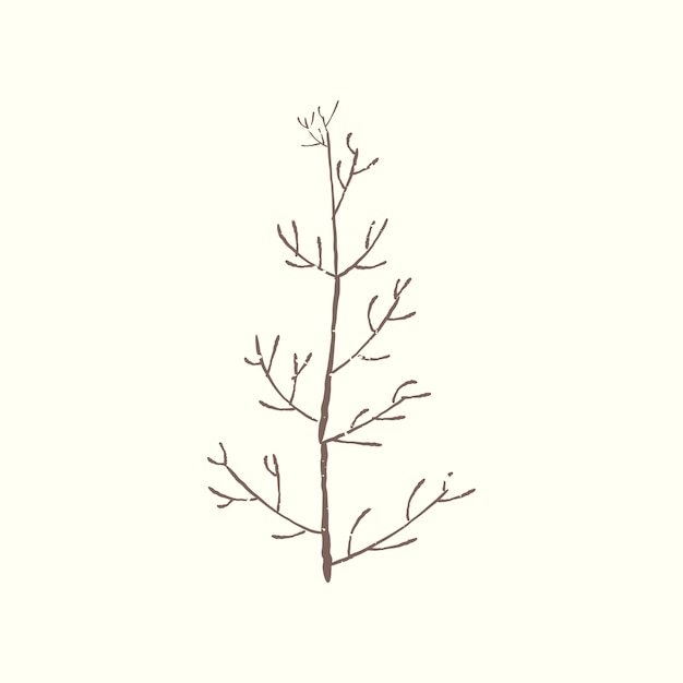 Бесплатное векторное изображение Иллюстрация растения