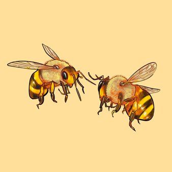 かわいい2つのハチのイラスト プレミアムベクター かわいい2つのハチのイラスト プレミアムベクター