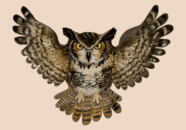 Illustration of an owl icon for halloween