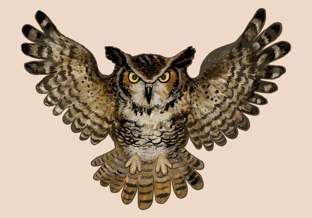 Illustration of an owl icon for Halloween