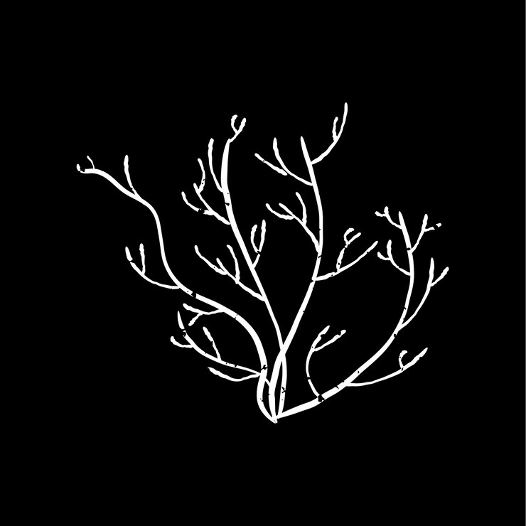 Free Vector illustration of plant