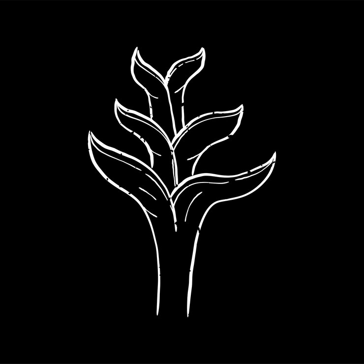 Free Vector illustration of plant
