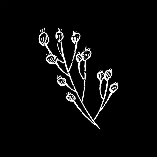 Free Vector illustration of plant