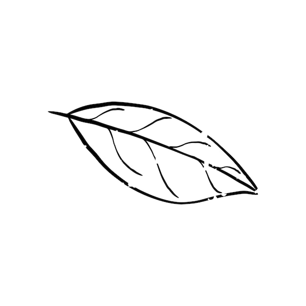 Free vector illustration of plant