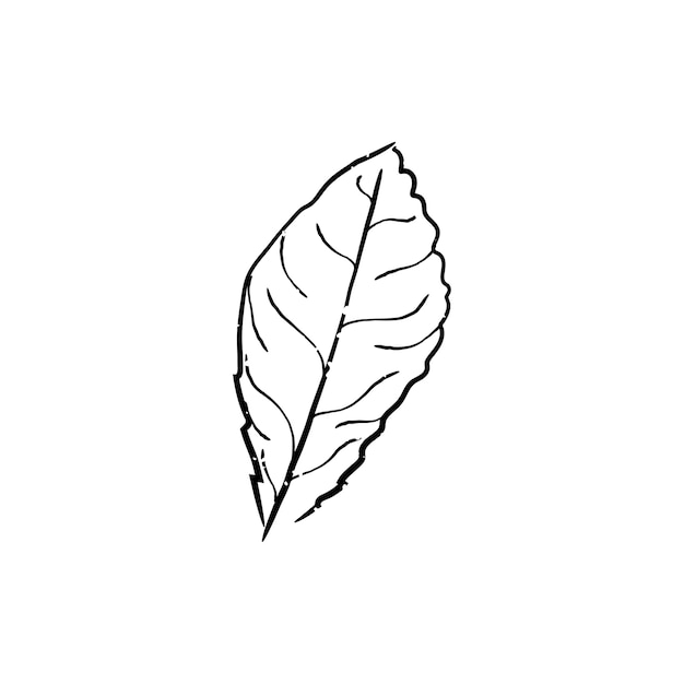 Free vector illustration of plant