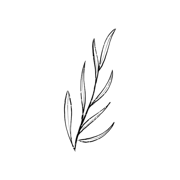 Free vector illustration of plant