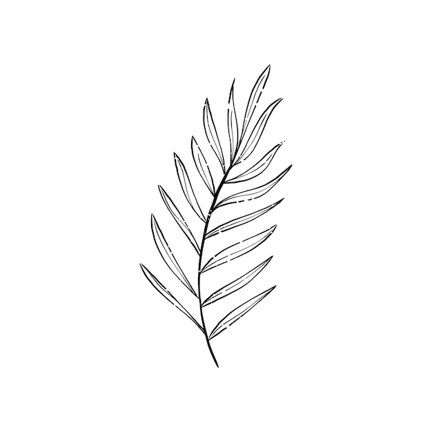 Free vector illustration of plant