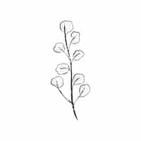 Free vector illustration of plant