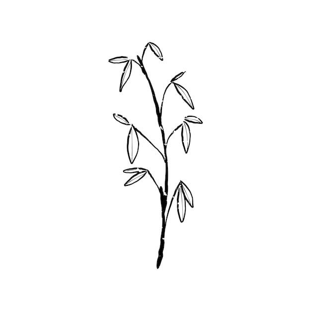 Illustration of plant