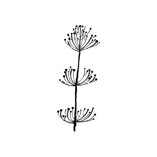 Illustration of plant