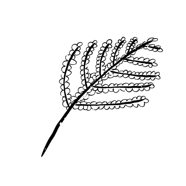 식물의 그림