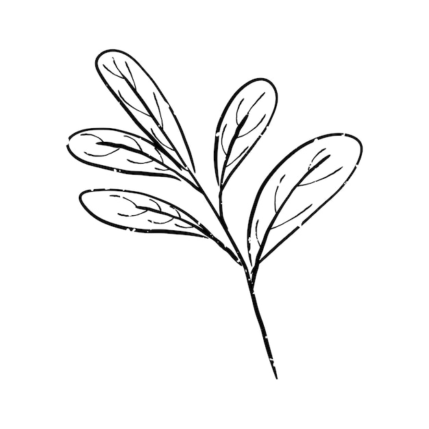 Free vector illustration of plant