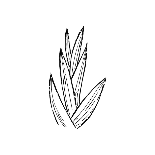 Free vector illustration of plant