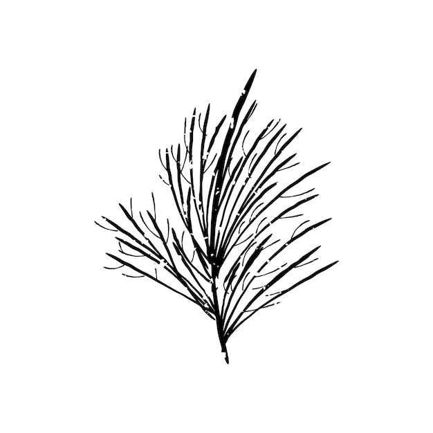 Free vector illustration of plant