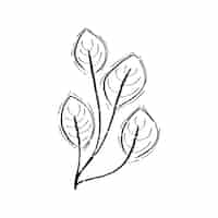 Free vector illustration of plant