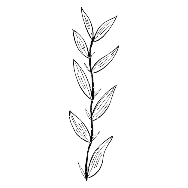 Free vector illustration of plant