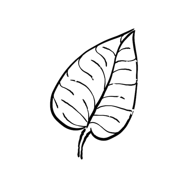 Free vector illustration of plant