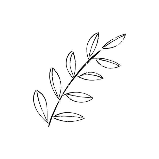 Иллюстрация растения