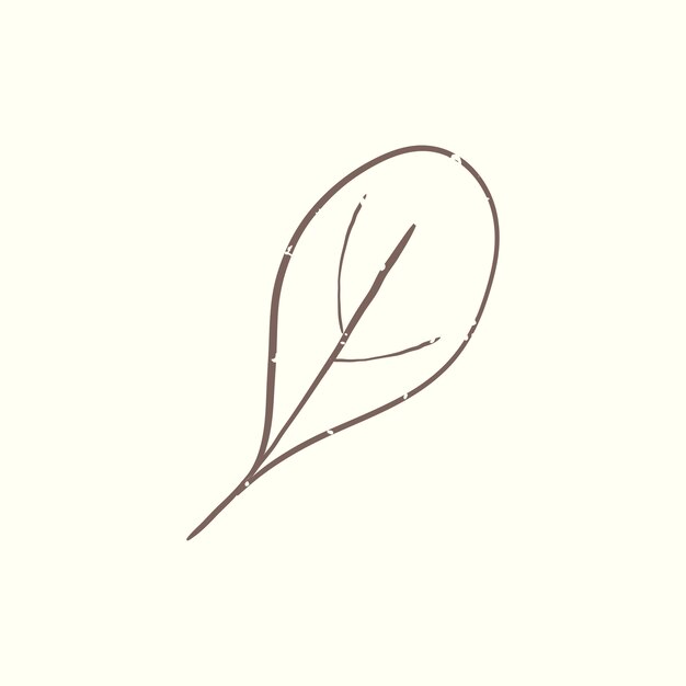 Illustration of plant